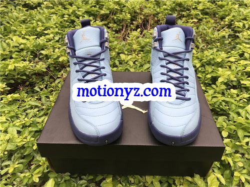 Authentic Air Jordan 12 Retro Purple Dust